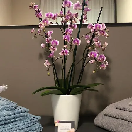 Apartmán Sofia Lezzeno